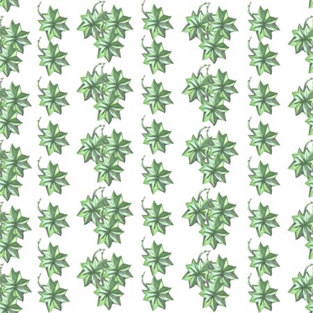 seamless watercolor pattern with green leaves on a white backgroundの写真素材
