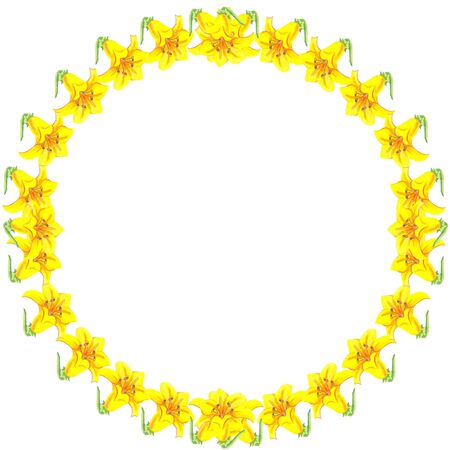 round watercolor frame on a white background yellow lily bright flower beauty in natureの写真素材