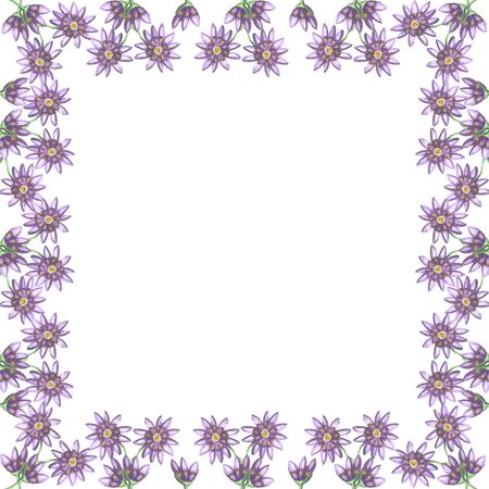 watercolor frame  white background lilac flowers illustrationの写真素材