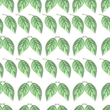 seamless wallpaper stripes of green leaves watercolor on a white backgroundの写真素材