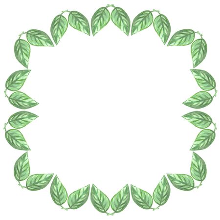 beauty in nature watercolor on a white background green leaves round frameの写真素材
