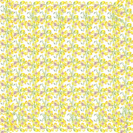 wallpaper seamless watercolor pattern on a white background yellow flower thick drawing leavesの写真素材