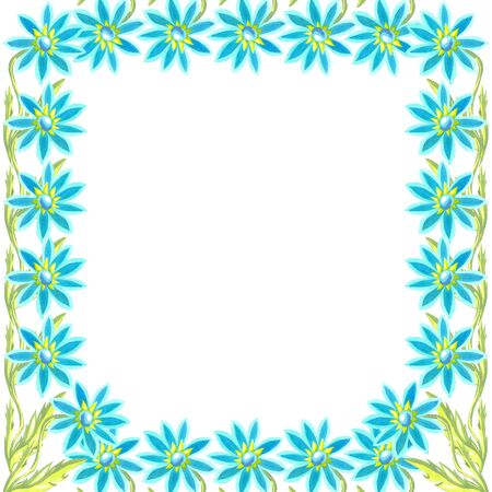 bright blue daisies frame contour watercolor  white background flowersの写真素材