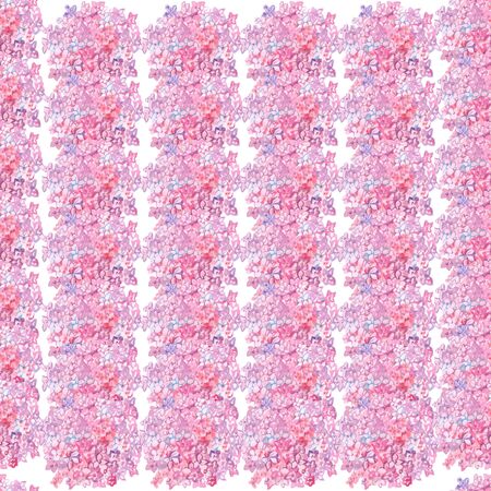 flower plant nature pink watercolor on white background wallpaper seamless pattern hydrangeaの写真素材