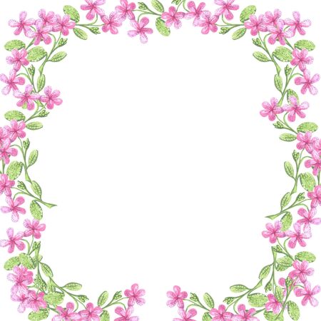 illustration frame of soft pink watercolor flowers on a white backgroundの写真素材