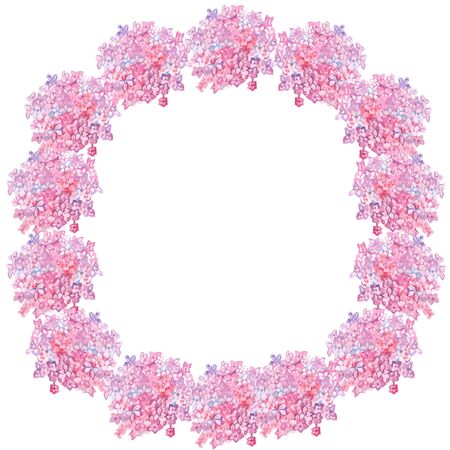 watercolor on white background hydrangea pink flower frame round illustration pattern natureの写真素材