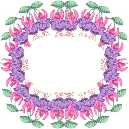 illustration decoration fuchsia bright flower watercolor on a white background frame round inflorescence plant
の写真素材