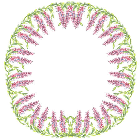 illustration watercolor on a white background frame round berries red tassel flower decorationの写真素材