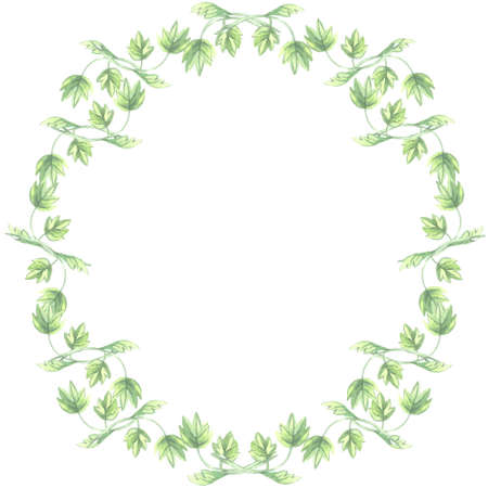watercolor on white background frame round branch green leaves pattern lianaの写真素材