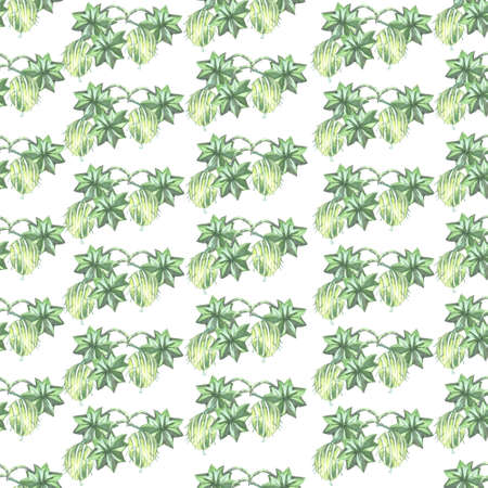 pattern green seamless gooseberry plant watercolor on white backgroundの写真素材
