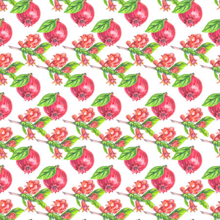 seamless pattern pomegranate fruit and flowers watercolor on white backgroundの写真素材