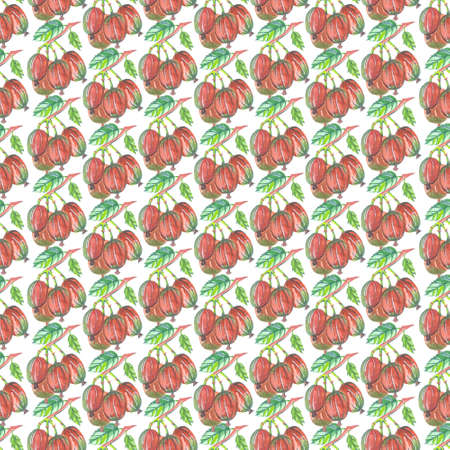 seamless pattern of watercolor gooseberry berries on white backgroundの写真素材