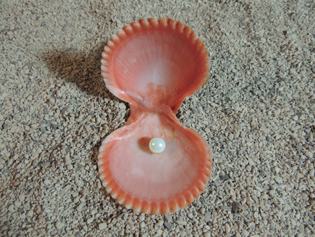 bright pink seashell with open doors and pearls inside on gray sand