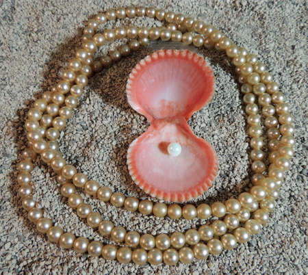 an open bright pink shell with a pearl and a necklace around lies on the sandの写真素材