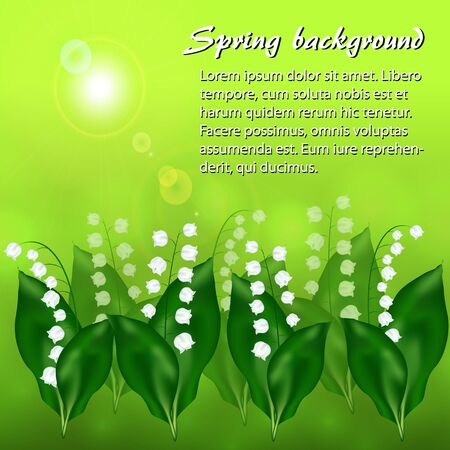 Spring background with flowers lily of the valleyのイラスト素材