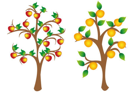 image of apple and an orange treeのイラスト素材