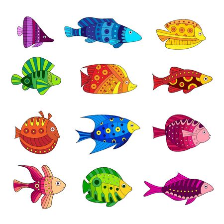 Set of colorful tropical fish on white background  illustration のイラスト素材