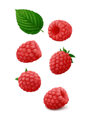 Set of single raspberry fruits from different sides with green leaf hang in the air. Isolated on white background. Realistic vector illustration.のイラスト素材