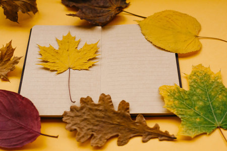 Autumn leaves of maple, oak, Notepad on a yellow background. Concept of autumn. Copy space.