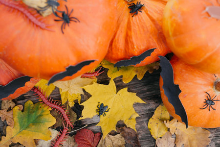 Happy Halloween, Thanksgiving. Pumpkin fruit with maple leaves on a wooden table, collecting the...