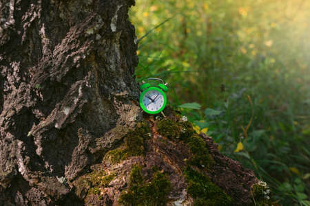 Hour clock alarm in forest. Make time for nature, environment concept.の写真素材