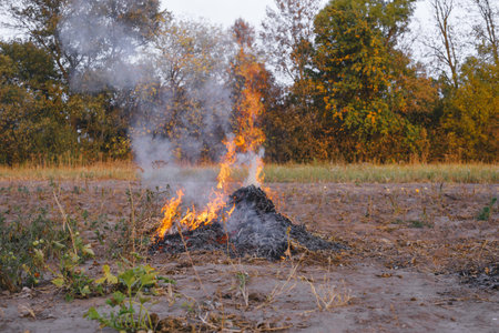 Fire during the cleaning of the garden and vegetable garden from the foliage. Penalty from bonfires...