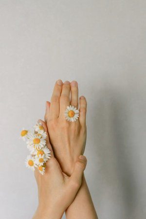Woman's hand with a camomile isolated on the gray background. Care for skin handsの写真素材