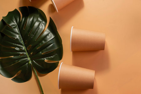 Monstera sheet, paper disposable eco-friendly cups on beige isolated background. Eco-concept.の写真素材