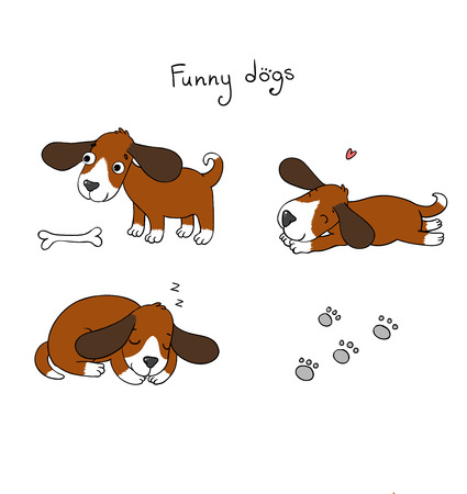 Funny cartoon dogs with a bone on white background.のイラスト素材
