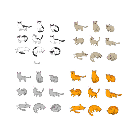 Isolated objects on white background. Vector illustration.のイラスト素材