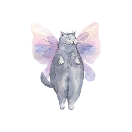 Watercolor illustration of a cute gray cat with butterfly wings. Airy, light, gentle, flying. For banner design, postcards, clothing, design, posters, wallpaper.の写真素材