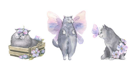 Watercolor illustration of delicate pink-lilac butterflies and cute, gray cats. Airy, light, gentle. For banner design, postcards, clothing, design, posters wallpaperの写真素材