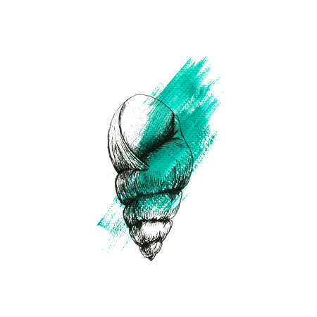 Watercolor illustration with graphics, a shell with a colored spot. Turquoise color.の写真素材