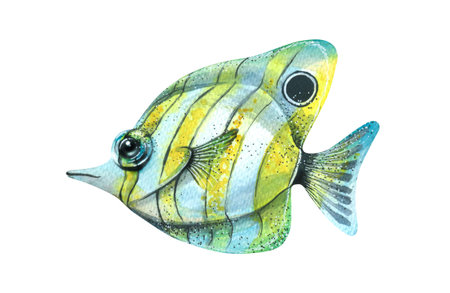 Watercolor illustration of a tropical marine fish isolated. Bright, coral, aquarium, blue. For...