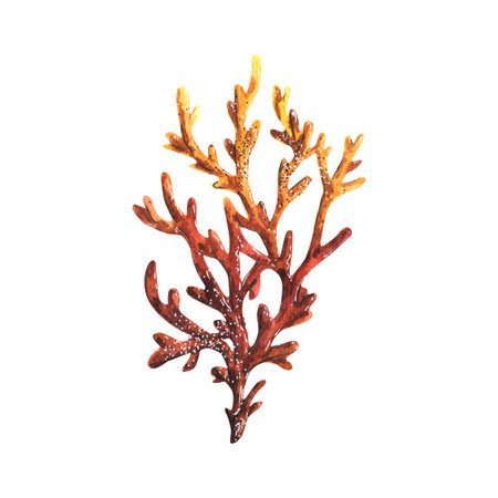 Watercolor illustration of a branch of red sea coral. Isolated object on a white background. For the...