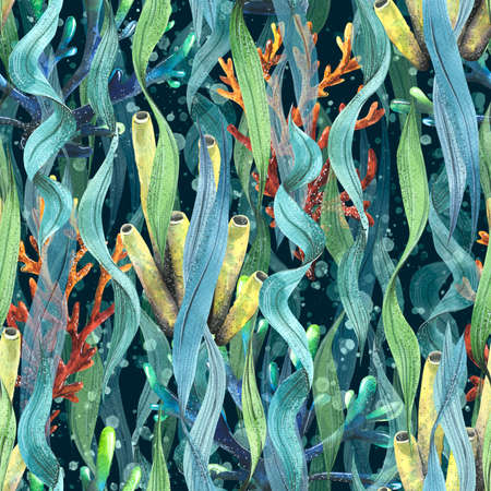 Seaweed with corals and sea sponge. Watercolor illustration. Seamless pattern. For fabric, textiles, wallpaper, paper, covers, souvenirs.の写真素材