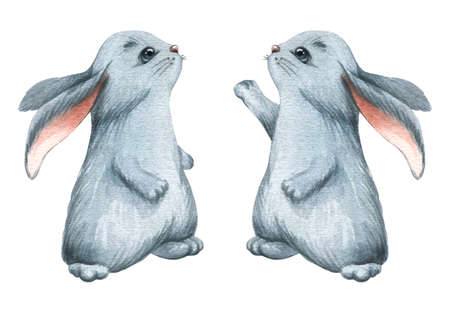 Cute bunnies, gray. Symbol of the year. Watercolor illustration. Isolated objects from a large set of COZY WINTER. For decoration and design of childrens and New Years, Christmas posters, postcardsの写真素材