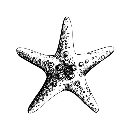 Starfish. Isolated object drawn by hand in graphic technique. Vector illustration for summer, nautical and beach decoration and design.のイラスト素材