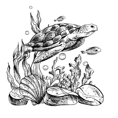 Underwater world clipart with sea animals turtle, fish, pebbles, bubbles, coral and algae. Graphic illustration hand drawn in black ink. Composition EPS vector.のイラスト素材