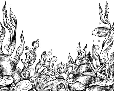 Underwater world clipart with sea animals whale, turtle, octopus, seahorse, starfish, shells, coral and algae. Graphic illustration hand drawn in black ink. Template, frame EPS vectorのイラスト素材