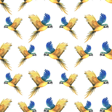 Tropical flying blue-yellow macaw parrot. Hand drawn watercolor botanical illustration. Seamless pattern on a white backgroundの写真素材