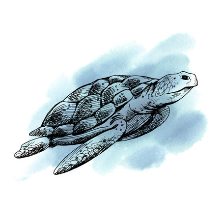 A blue and coral turtle swims against a background of blue and turquoise spots. Sea animals,...