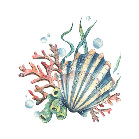 Sea shell, coral, sea sponge, algae, pebbles and bubbles. Hand drawn watercolor illustration on the...