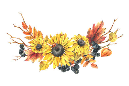 Autumn berries physalis, chokeberry, rowan leaves, maple, birch, russula mushrooms, rudbeckia flowers, tree branches and ladybugs. Watercolor illustrations. Sublimation isolated from the backgroundの写真素材