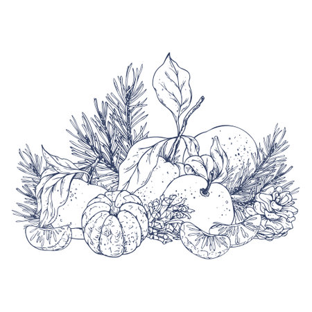 Orange tangerines whole, peeled and sliced with pine branch and cones. Christmas, New Year, Graphic illustration hand drawn in black ink. Composition, sublimation, arrangement EPS vector.のイラスト素材