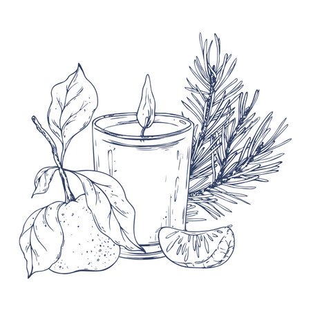 Burning candle in a glass jar with tangerines and a pine branch. Graphic illustration hand drawn in black ink. Composition, sublimation, arrangement EPS vector.のイラスト素材