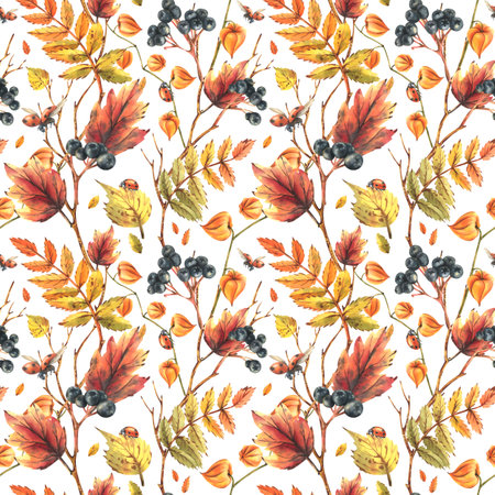 Autumn berries physalis, chokeberry, rowan leaves, maple, birch, tree branches and ladybugs. Watercolor illustrations. Seamless pattern on a white backgroundの写真素材