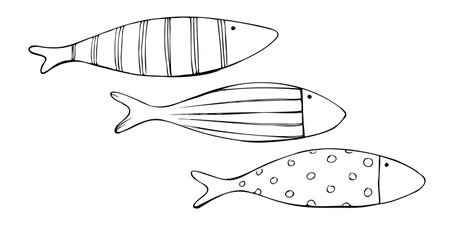 Large elongated fish of simple shape with rustic patterns. Graphic line art hand drawn on the theme of sea and fishing in black and white ink. Set of elements isolated from the background EPS vectorのイラスト素材