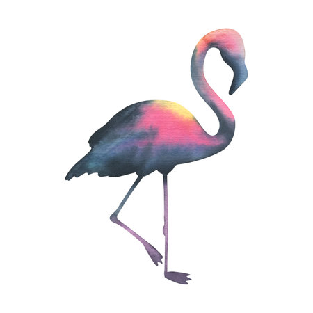 Vibrant watercolor flamingo silhouette, hand-painted in bold tropical hues. Perfect for wildlife designs, beach branding, and exotic-themed projects as standalone element.の写真素材