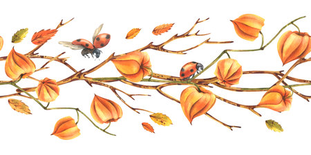 Hand drawn watercolor illustration of autumn seamless border with orange physalis, leaves and dry branches. Elegant seasonal design for packaging, scrapbooking and cards.の写真素材